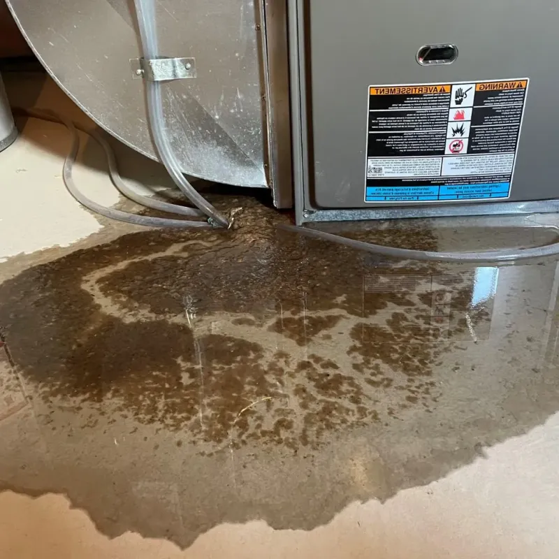 Pipe Burst and Leak Restoration in Asheboro, NC
