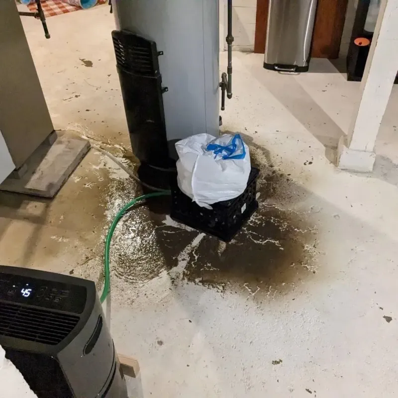 Sewage Backup Cleanup Service in Asheboro, NC